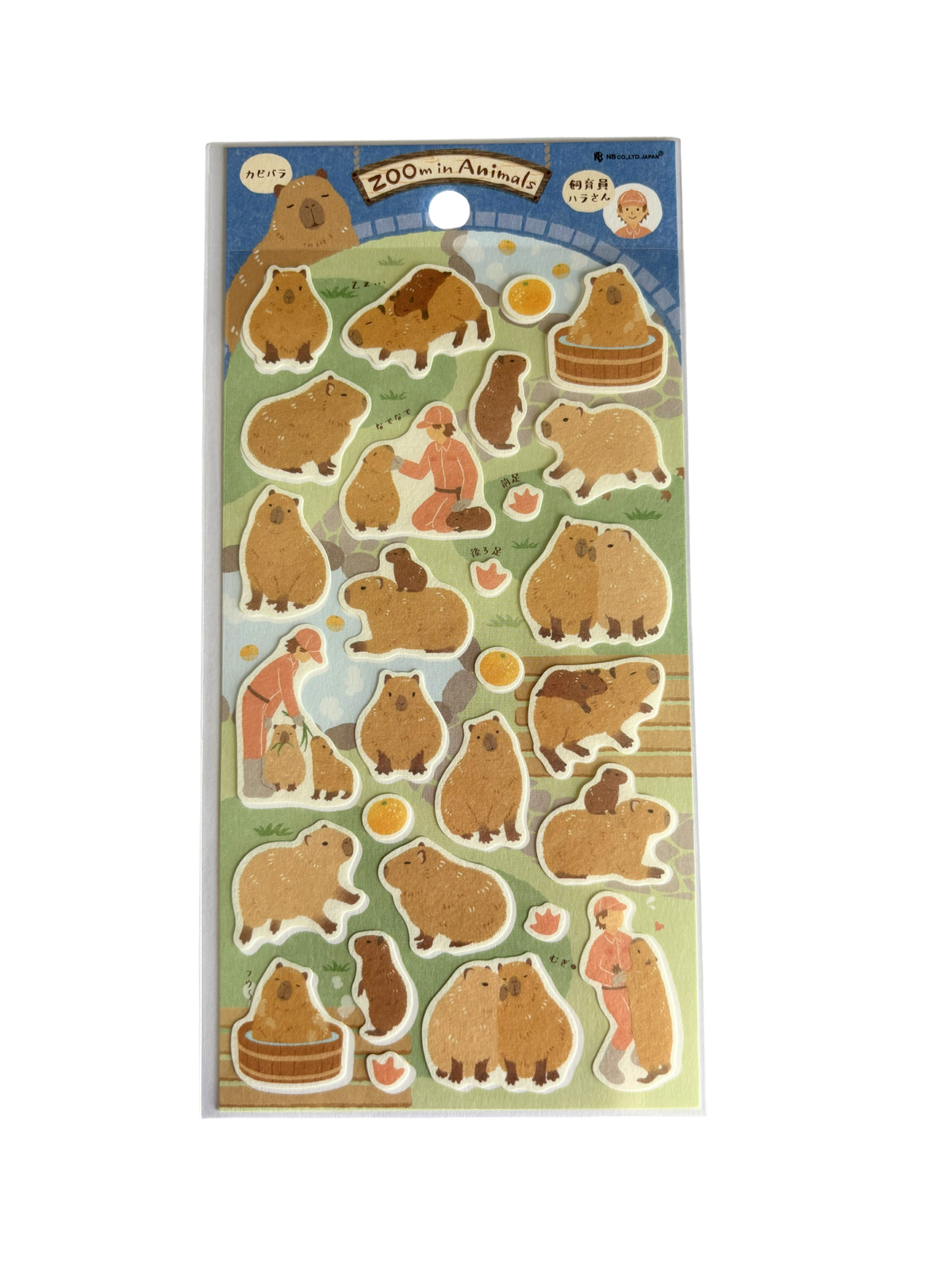 ZOOm In Animals - Capybara Sticker Sheet