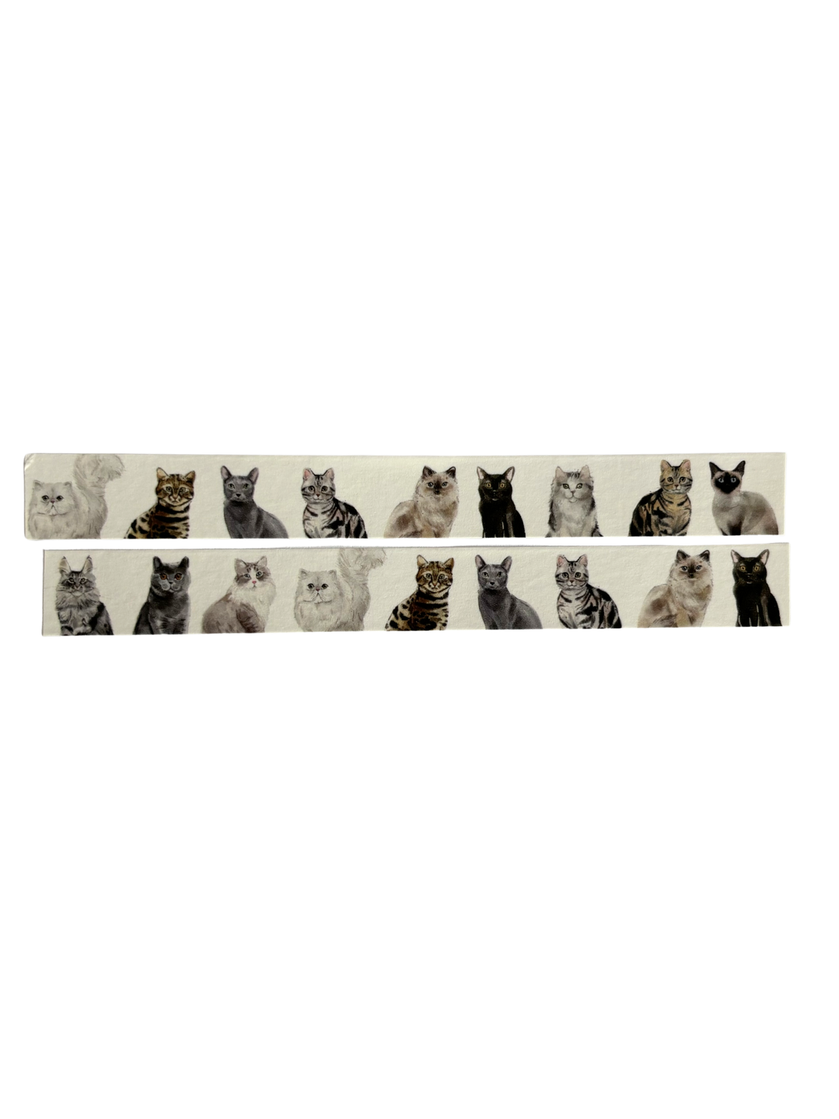 Cats - Washi Tape