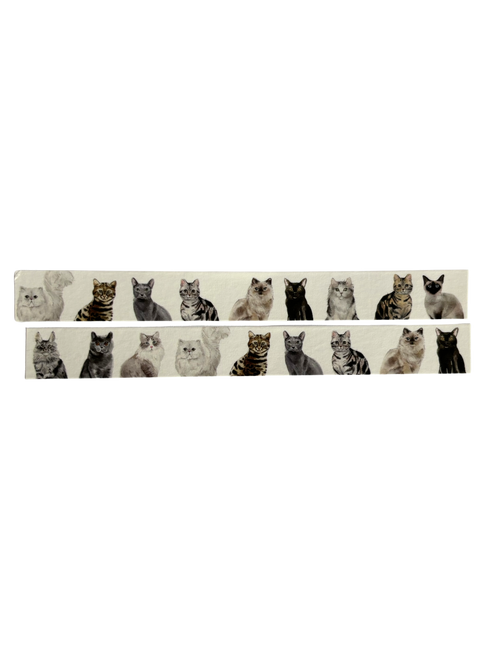 Cats - Washi Tape