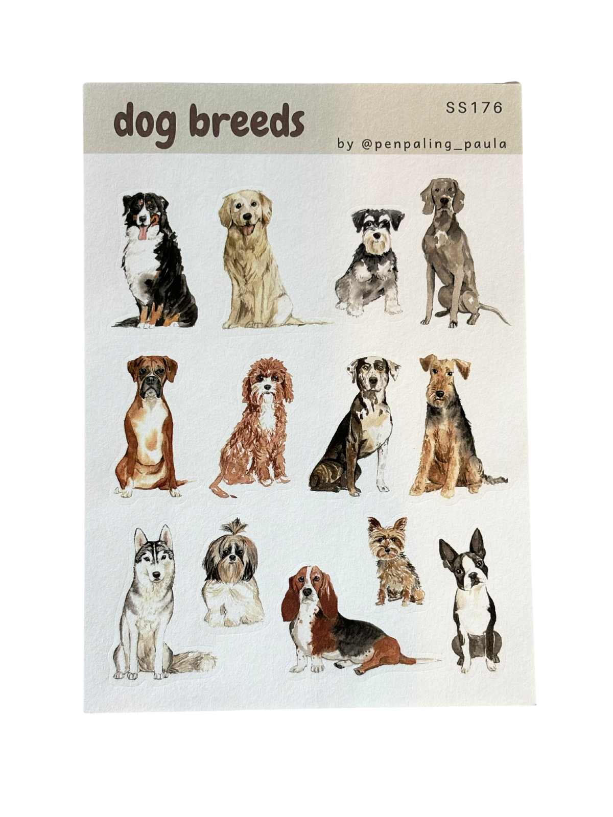 Dog Breeds - Sticker Sheet